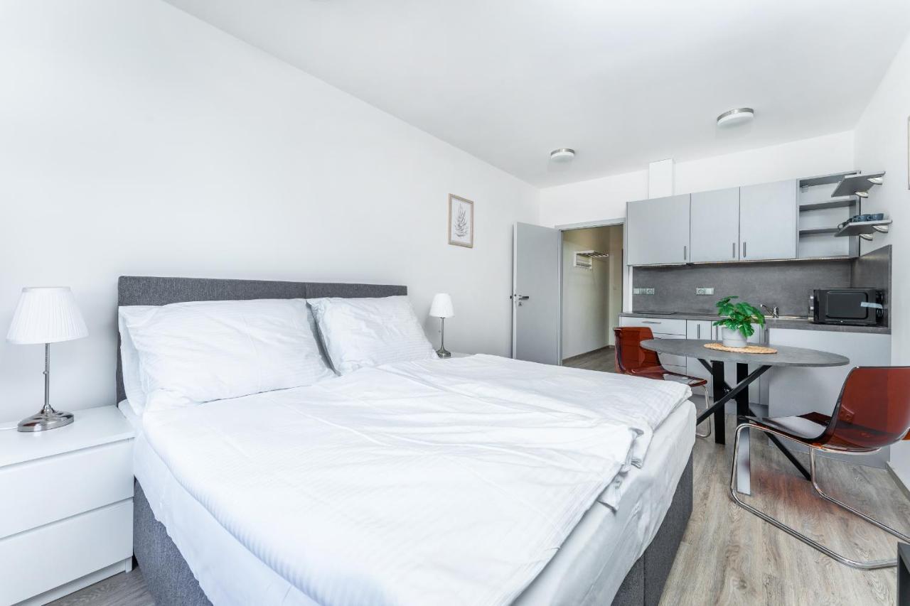 Apartman V Podebradech ปอดเยบราดิ ภายนอก รูปภาพ