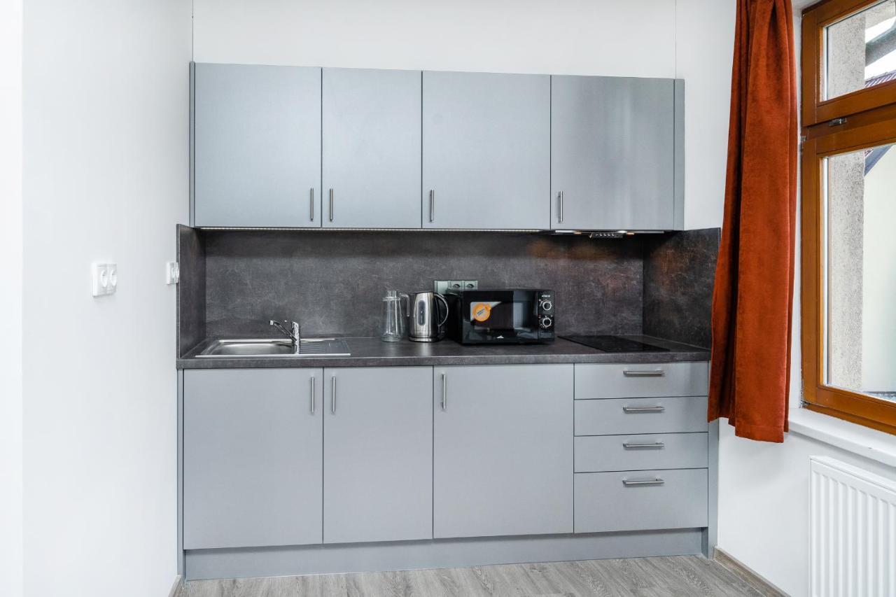 Apartman V Podebradech ปอดเยบราดิ ภายนอก รูปภาพ