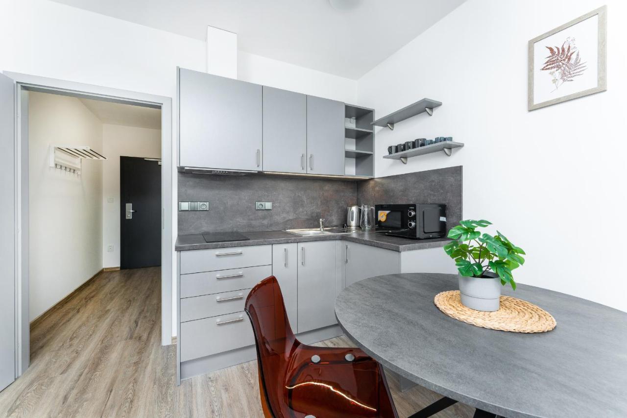 Apartman V Podebradech ปอดเยบราดิ ภายนอก รูปภาพ